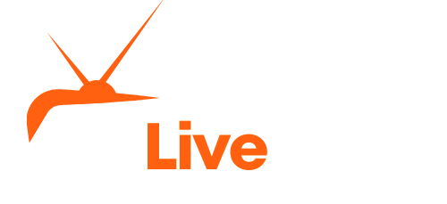 4K Live IPTV - Sports Streaming in Ultra HD